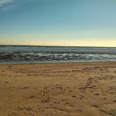 Tatil Evi 6 Person In Fano-by Traum